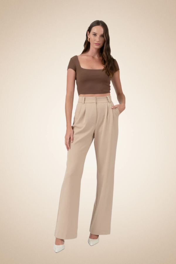 Casual Short Sleeve Brow Top